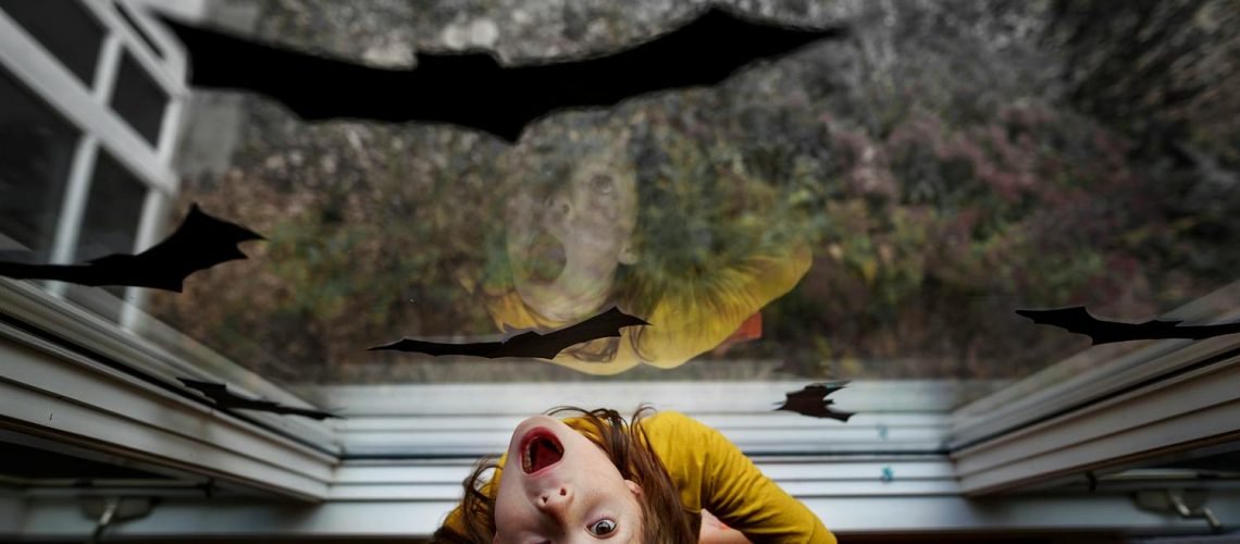 Chiroptophobie : comment vaincre sa peur des chauve-souris ? Chiroptophobie : comment vaincre sa peur des chauve-souris ?